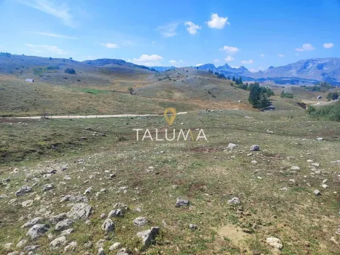 Prodaja, plac, 65000m², Žabljak, Crna Gora