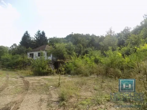 View of an old house surrounded by nature and forest. - image 6