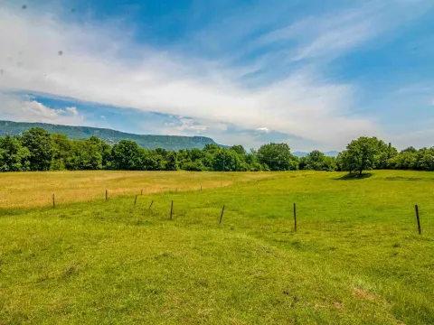 Sale, land lot, 81000m², Martinići, Danilovgrad - image 2