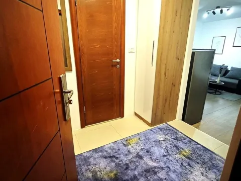 Izdavanje, stan, 42m², Centar, Podgorica - image 8