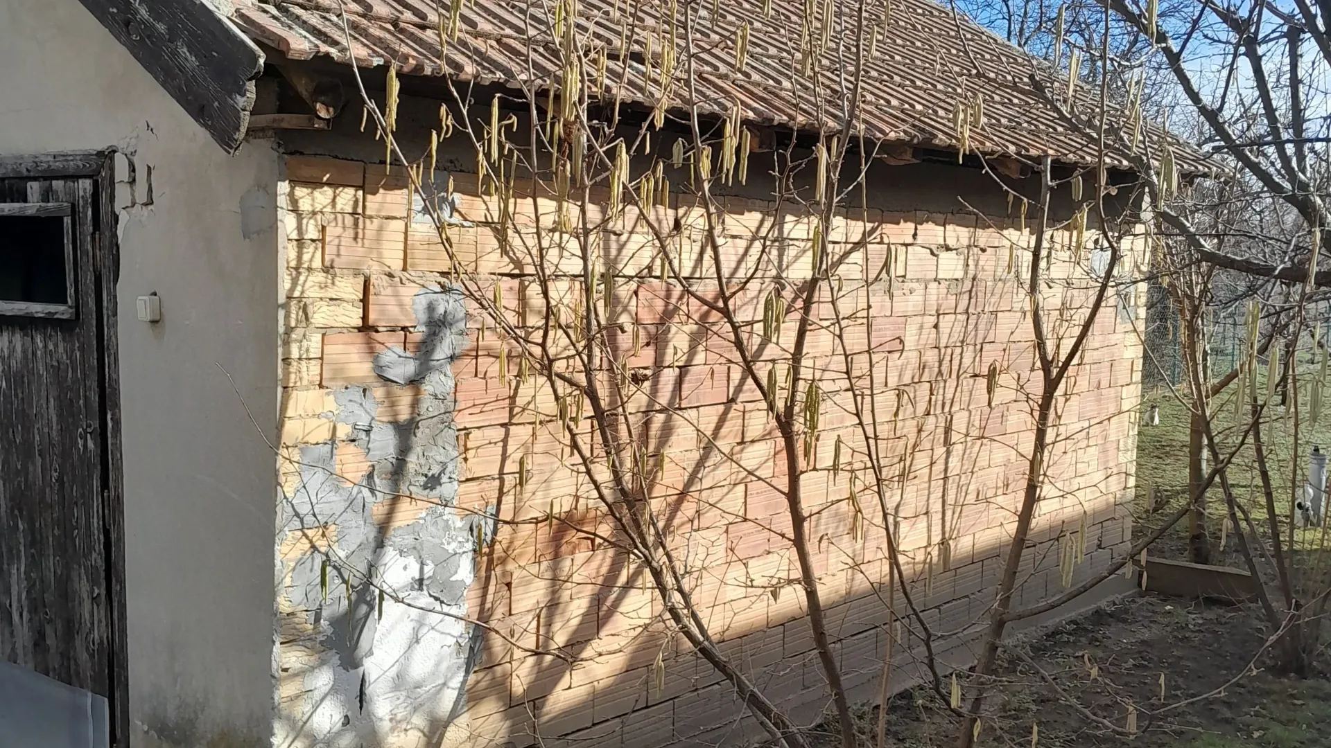 Sale, house, 200m², Bački Petrovac, Novi Sad