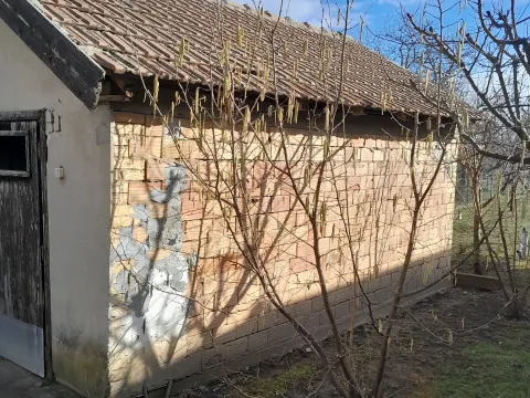 Prodaja, kuća, 200m², Bački Petrovac, Novi Sad - image 12