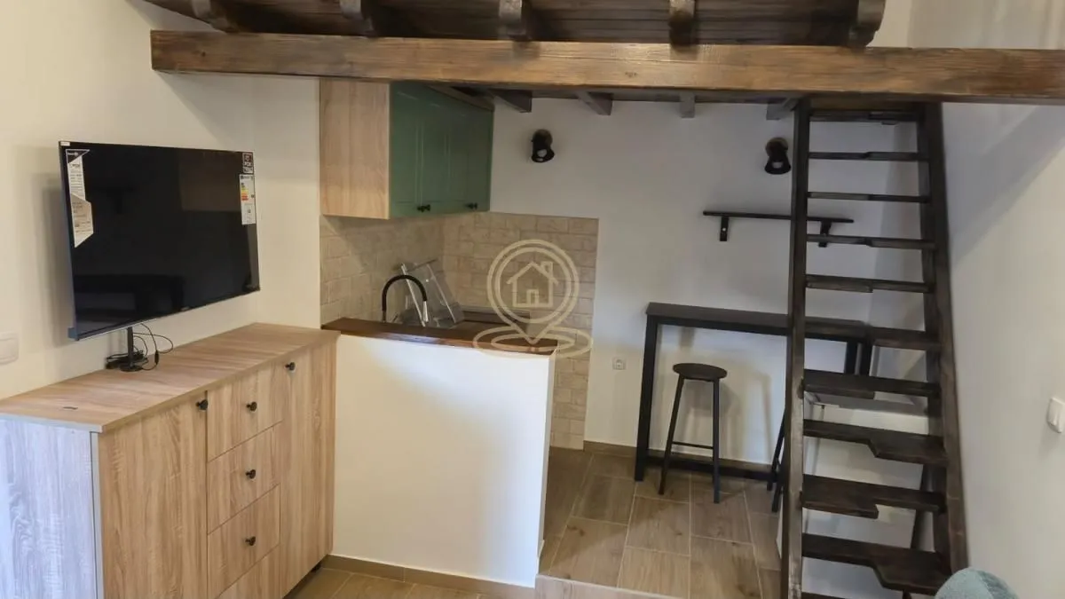 Rent, studio apartment, 20m², Centar, Novi Sad