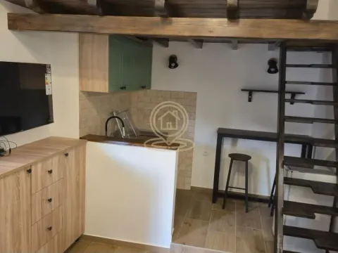 Rent, studio apartment, 20m², Centar, Novi Sad - image 5