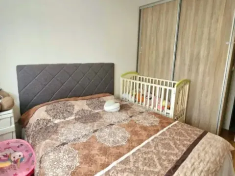 Izdavanje, jednosoban stan, 45m², Gintaš, Podgorica - image 5