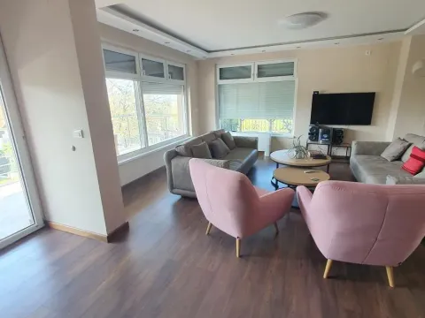 Prodaja, kuća, 460m², Sremska Kamenica, Petrovaradin - image 7