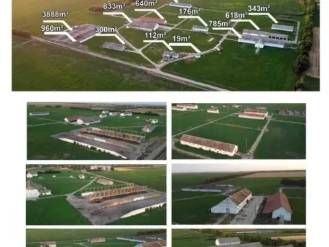 Prodaja, plac, 97900m², Vrbas, Novi Sad - image 8