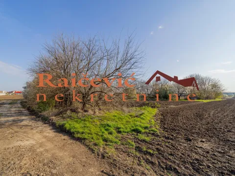 Prodaja, plac, 7700m², Zemun Sve Podlokacije, Beograd - image 2