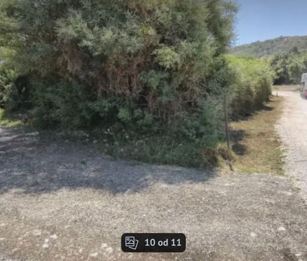 Pogled na prilaz i rastinje na placu.