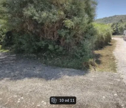 Pogled na prilaz i rastinje na placu. - image 3
