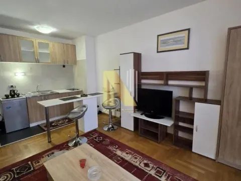 Izdavanje, garsonjera, 30m², Cara Dušana, Novi Sad Sve Podlokacije - image 3