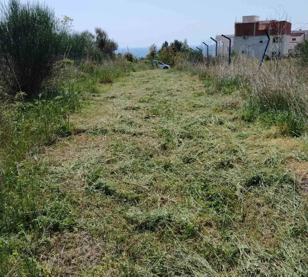 Prodaja, plac, 800m², Zeleni Pojas, Bar