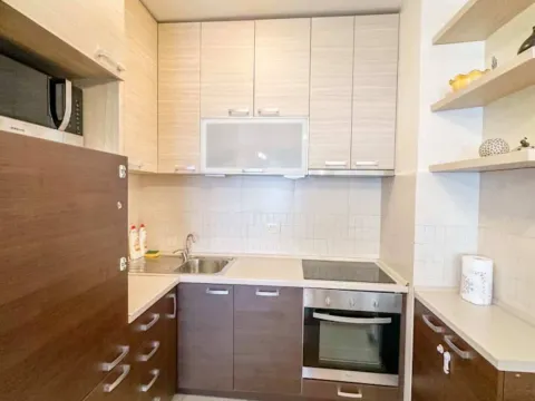 Izdavanje, jednosoban stan, 45m², Zabjelo, Podgorica - image 3