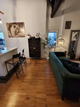 Dnevni boravak sa zelenom sofom, šankom i drvenim podom. - image 3