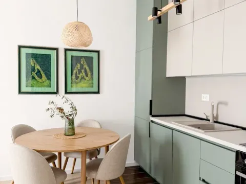 Izdavanje, jednosoban stan, 44m², Tološi, Podgorica - image 4