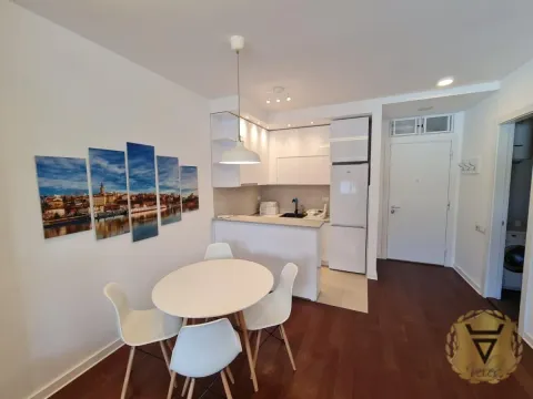 Izdavanje, jednosoban stan, 36m², Novi Beograd Blok 67, Novi Beograd Sve Podlokacije - image 3