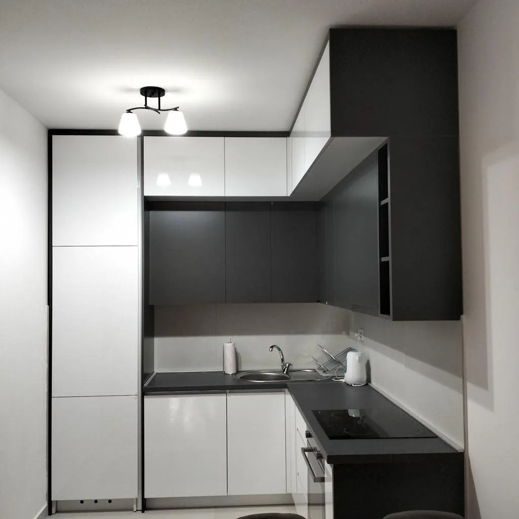 Izdavanje, jednosoban stan, 50m², Zabjelo, Podgorica