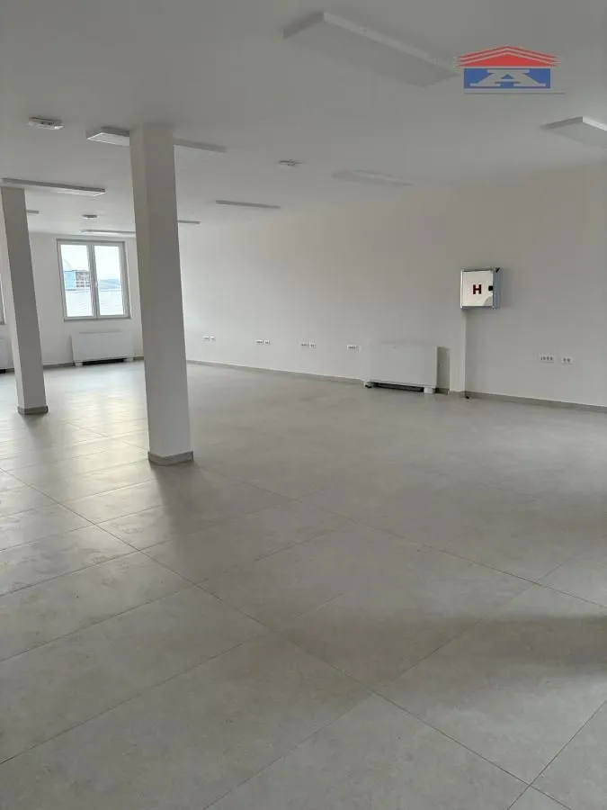 Rent, office space, 250m², Veternik, Novi Sad Sve Podlokacije