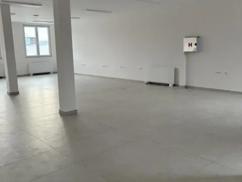 Izdavanje, poslovni prostor, 250m², Veternik, Novi Sad Sve Podlokacije - image 4