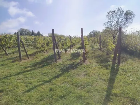 Sale, house, 40m², Novi Slankamen, Inđija - image 7