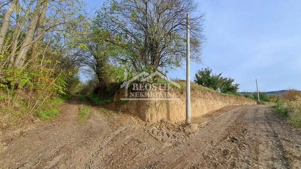Prodaja, plac, 3000m², Višnjica, Palilula Sve Podlokacije