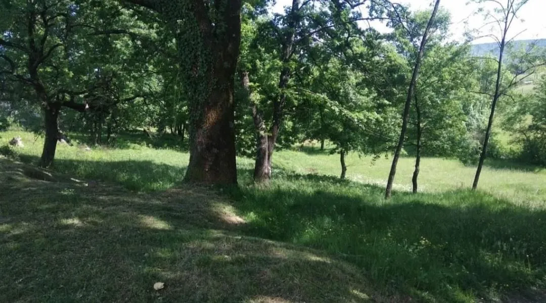 Prodaja, plac, 6500m², Podgorica, Crna Gora