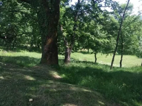 Prodaja, plac, 6500m², Podgorica, Crna Gora - image 5