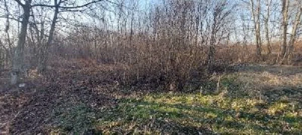 Prodaja, plac, 5400m², Centar, Smederevo