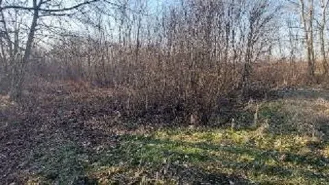 Prodaja, plac, 5400m², Centar, Smederevo - image 6