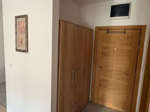 Rent, one bedroom apartment, 46m², Zabjelo, Podgorica - image 7