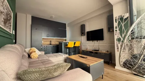 Dnevna soba sa garniturom, televizorom i kuhinjom u pozadini. - image 12