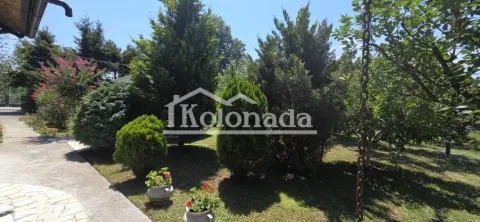 Sale, house, 100m², Babe, Sopot - image 4