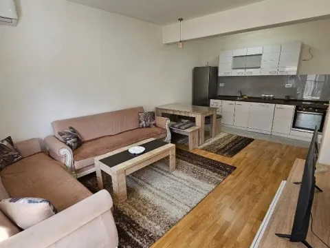 Rent, one bedroom apartment, 50m², Stara Varoš, Podgorica - image 4