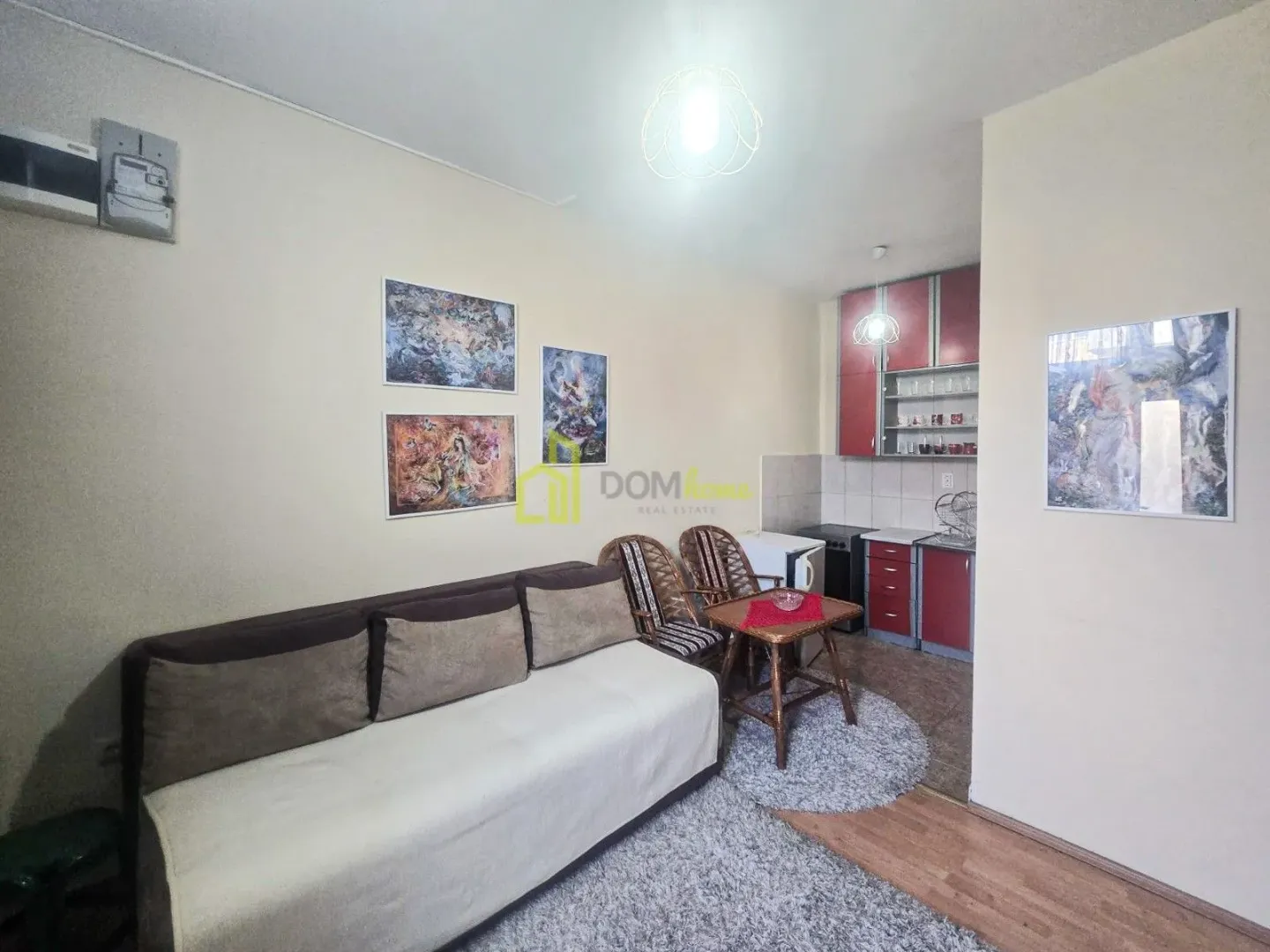 Living room with a sofa and a small kitchen area in the background.