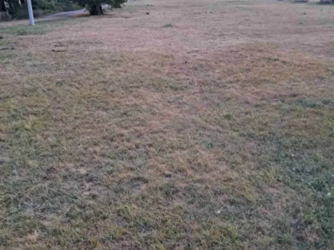 Sale, land lot, 1311m², Rastovac, Nikšić - image 4