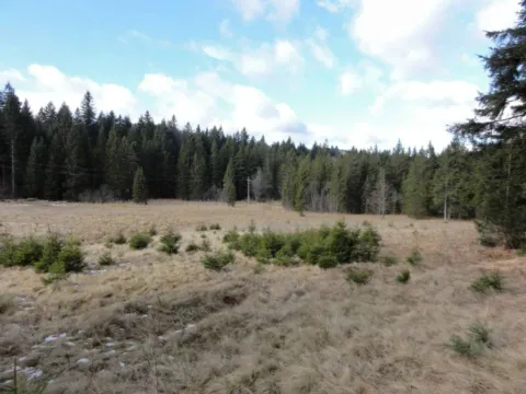 Prodaja, plac, 8600m², Tara, Srbija - image 9