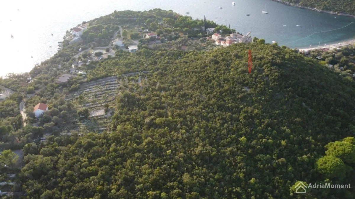 Sale, land lot, 9000m², Radovanići, Herceg Novi
