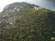 Sale, land lot, 9000m², Radovanići, Herceg Novi - image 1