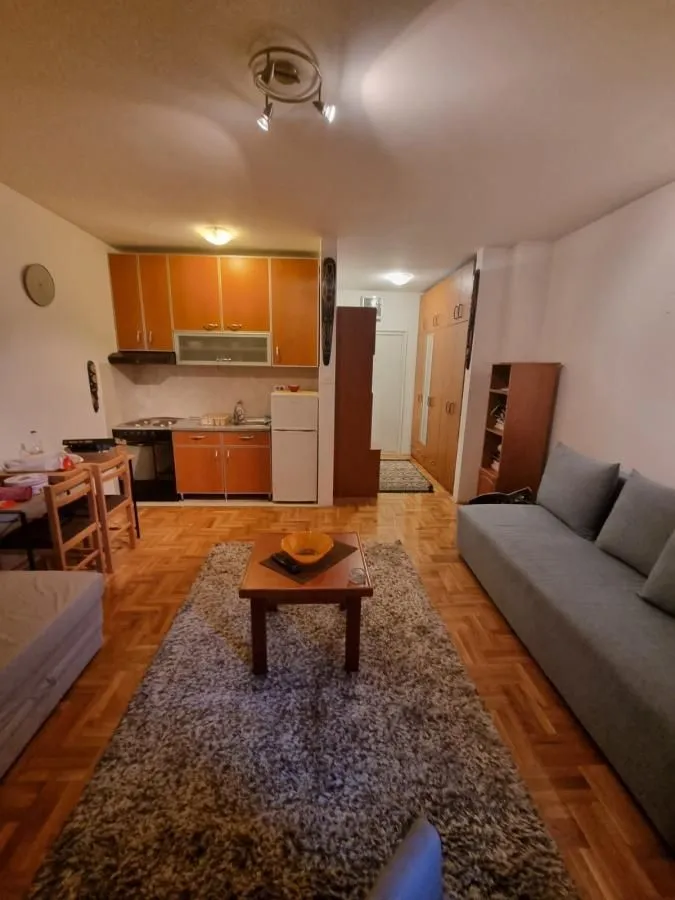 Rent, studio apartment, 30m², Grbavica, Novi Sad Sve Podlokacije