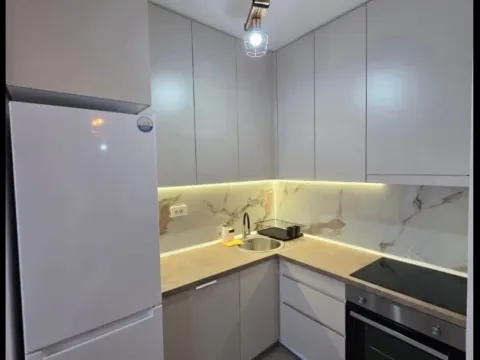 Izdavanje, jednosoban stan, 56m², Central Point, Podgorica - image 2