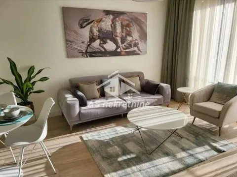 Stan in Savski Venac