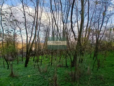 Prodaja, plac, 92300m², Đurđevo brdo, Jagodina - image 14