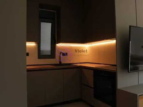 Izdavanje, jednosoban stan, 47m², Dalmatinska ulica, Podgorica - image 43