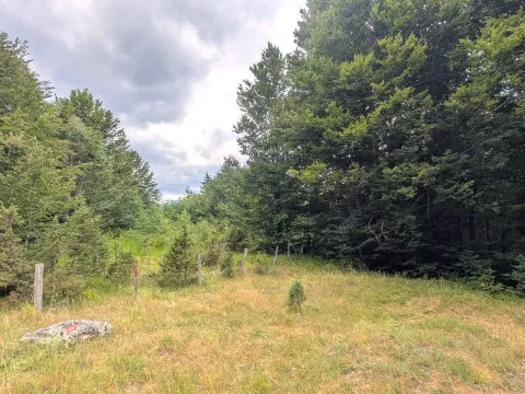 Sale, land lot, 585m², Žabljak, Crna Gora - image 11