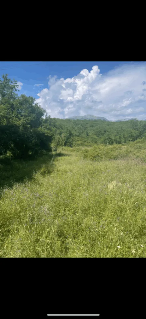 Prodaja, plac, 696m², Kovači, Kotor