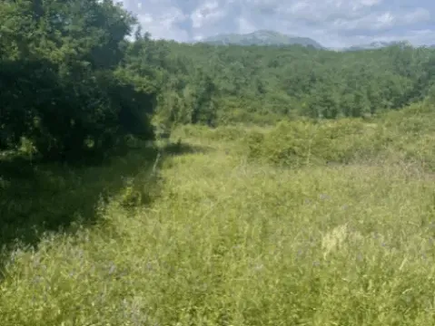 Sale, land lot, 696m², Kovači, Kotor - image 4