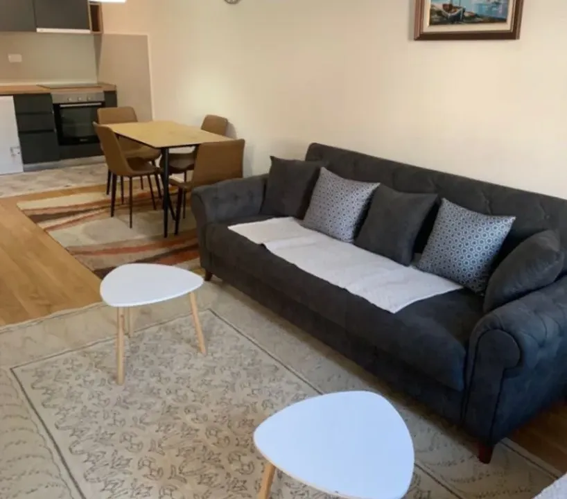 Izdavanje, jednosoban stan, 49m², Central Point, Podgorica