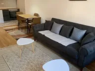 Izdavanje, jednosoban stan, 49m², Central Point, Podgorica - image 1