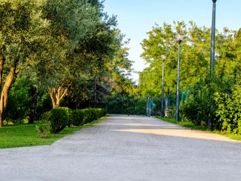 A landscaped path in the yard surrounded by greenery and trees. - image 2