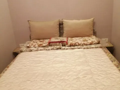 Izdavanje, jednosoban stan, 40m², Vračar Hram, Vračar Sve Podlokacije - image 9